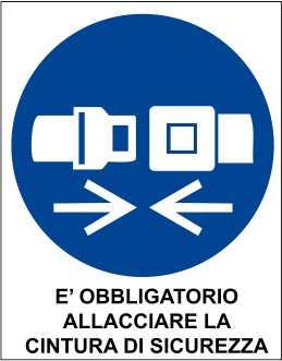 Generico Cartello E' obbligatorio Allacciare la Cintura di Sicurezza - 20x30 cm - 3 Pezzi - Adesivo per Interni - MR032